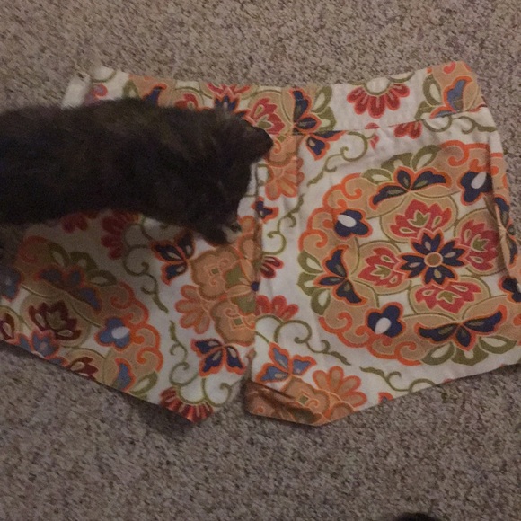 J crew shorts - Picture 5 of 7